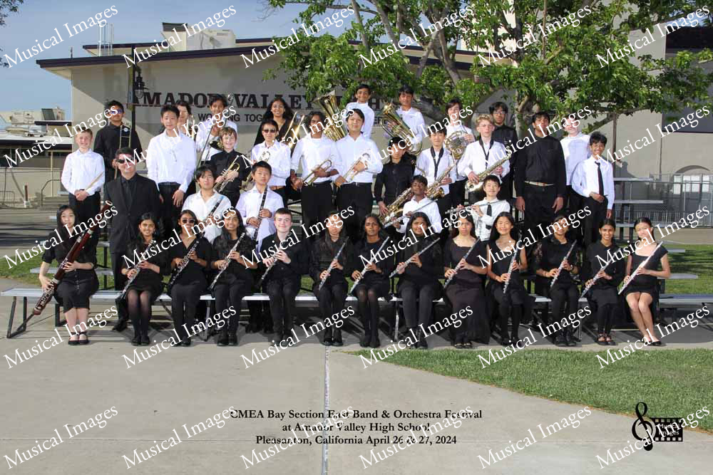 Musical Images